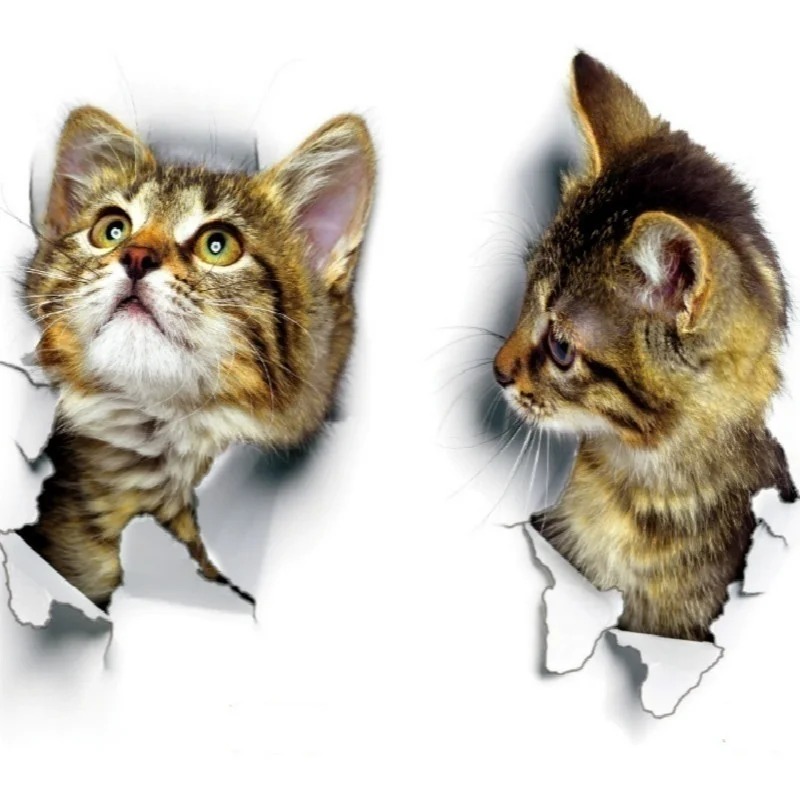 3pcs 3D Cute Cat Self-adhesive - Pvc Panel Background 评论和价格