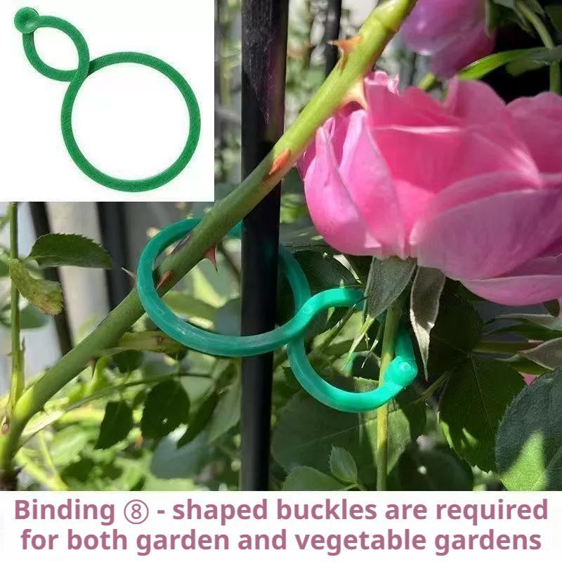100 Pcs Plant Support Clips He - Vine Climbing Plastic 评论和价格