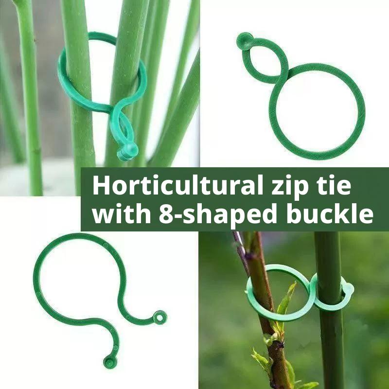 100 Pcs Plant Support Clips He - Vine Climbing Plastic 评论和价格