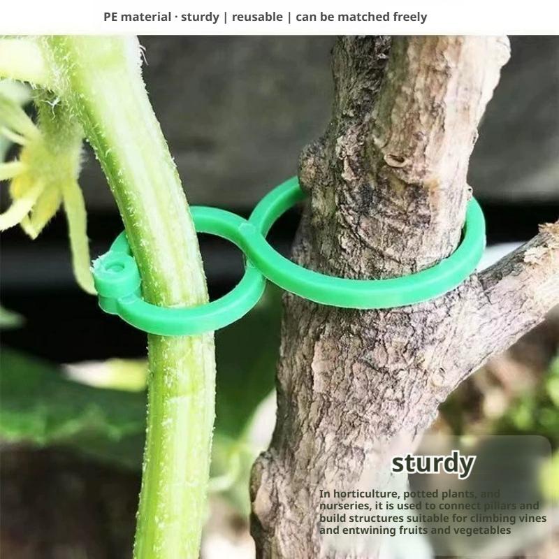 100 Pcs Plant Support Clips He - Vine Climbing Plastic 评论和价格