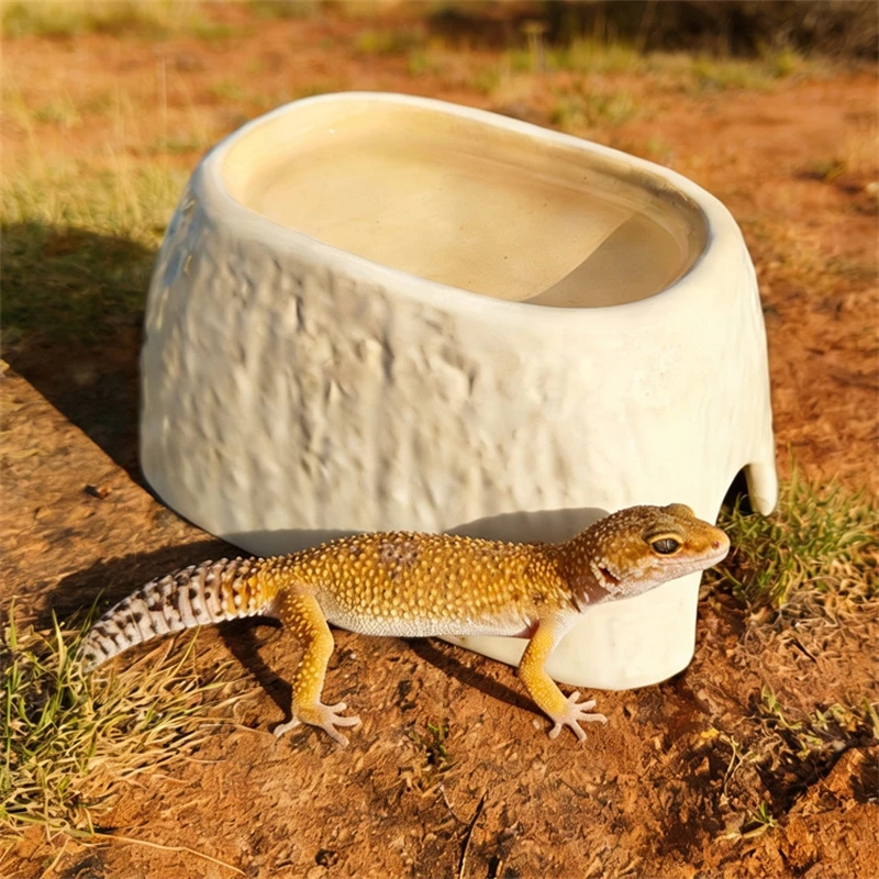 Ceramic Leopard Print Humid Hi - Hide Cave Ceramic 评论和价格