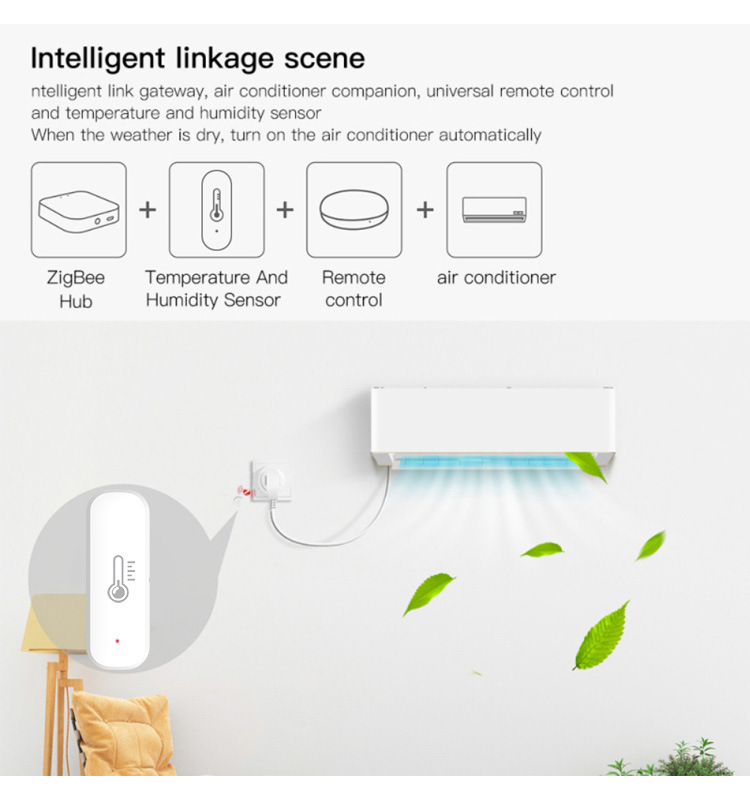 eWeLink Smart ZigBee Temperatu - Digital Hygrometer Probe 评论和价格