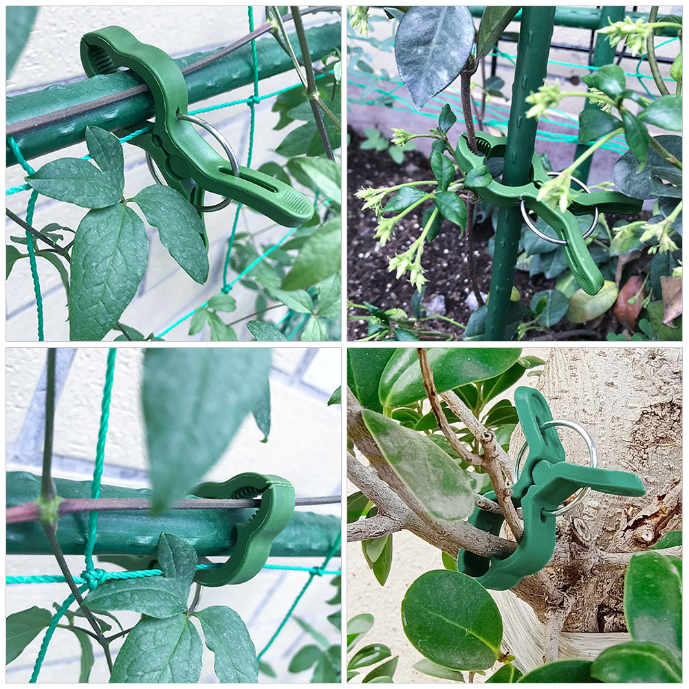 60Pcs Plastic Plant Support Cl - Vine Climbing Plastic 评论和价格